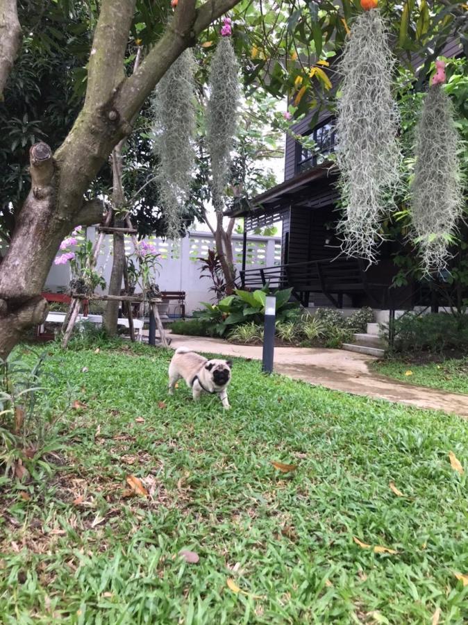 Baansuanklaiklungbangkrachao บ้านสวนใกล้กรุงบางกะเจ้า Phra Pradaeng 외부 사진